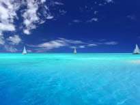 让客户接受“高价格”的实用技巧!