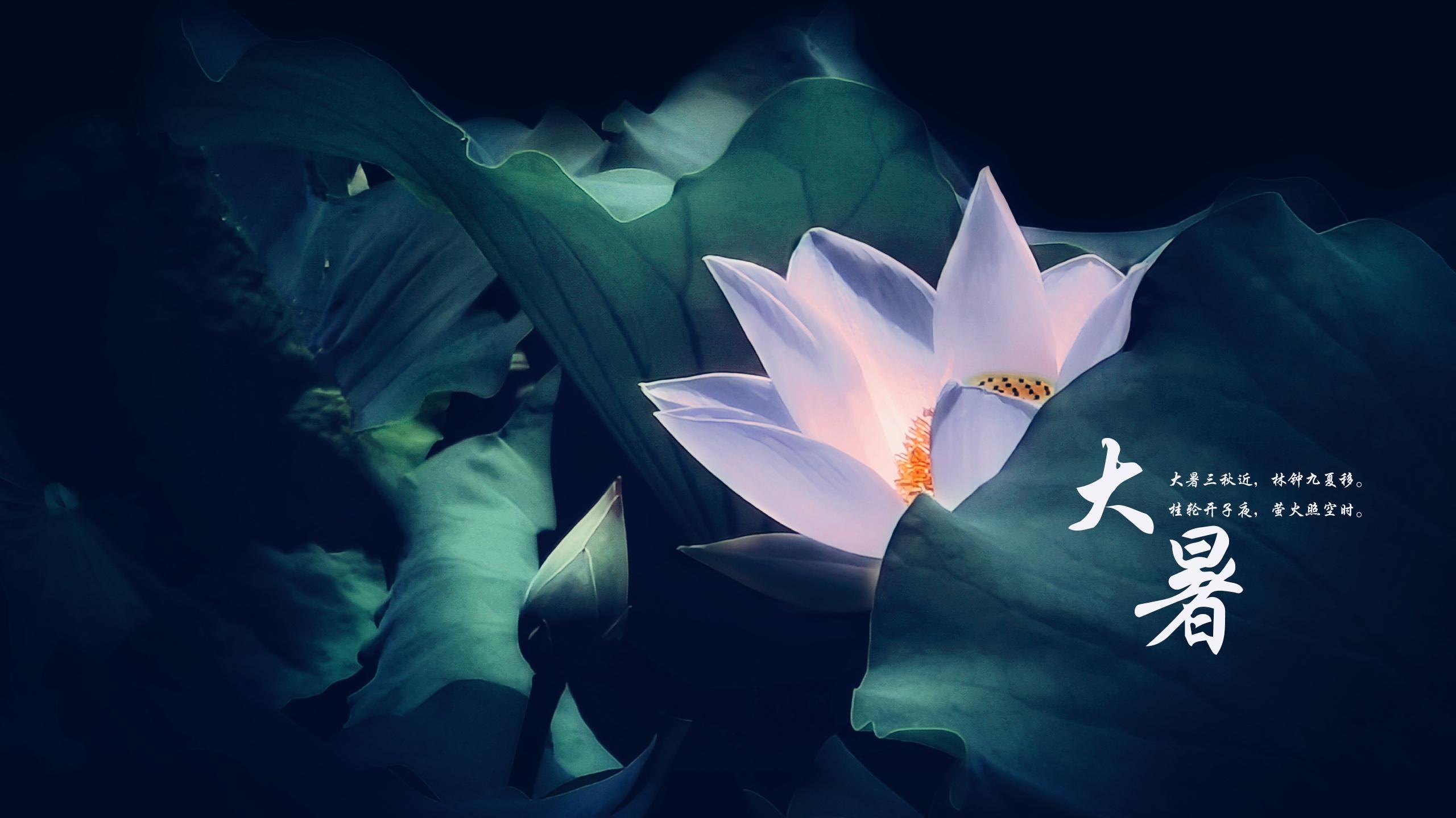 思嘉特专汽|大暑