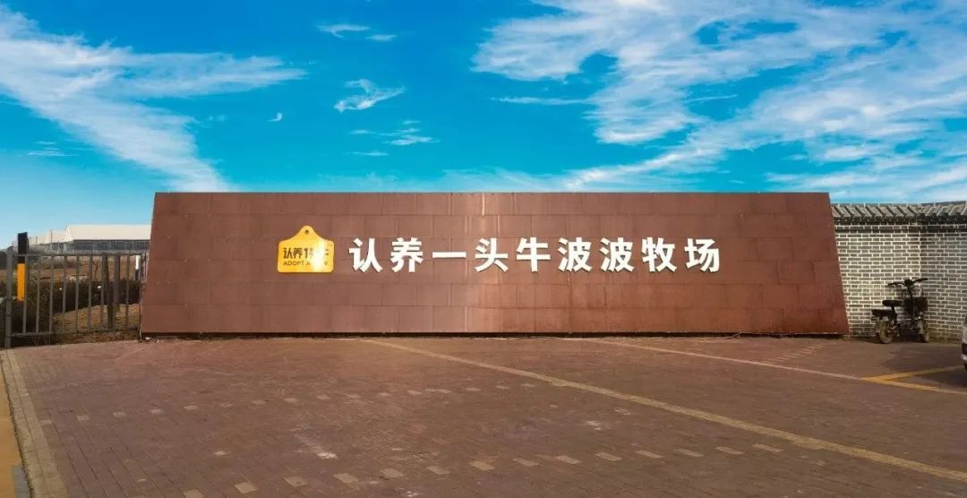 1669854151578456.jpg 640.jpg